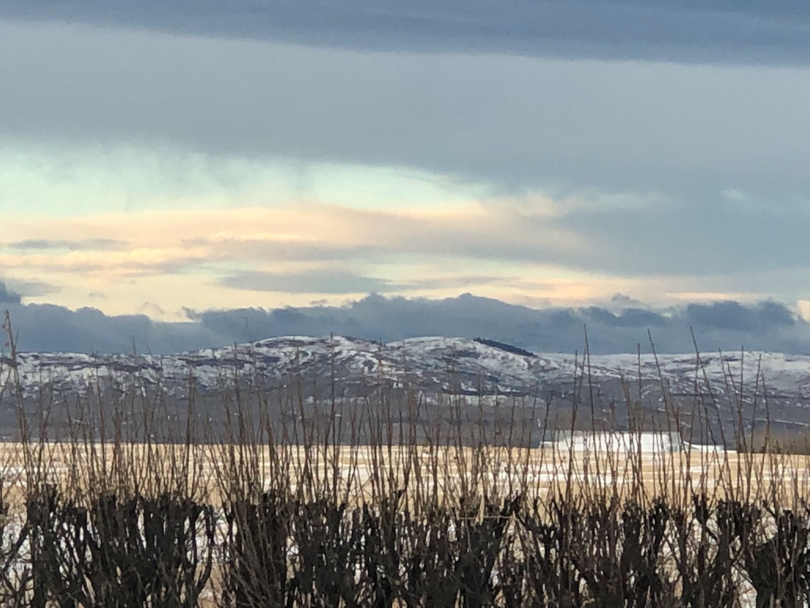 A photo of the rocky mountains in the distance.